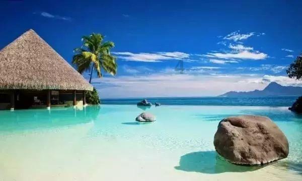 牛油果面包